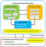 Bio-inspired Vision for UAV Landing